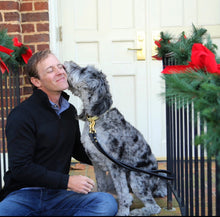 Load image into Gallery viewer, Exbury Lead for Dogs Midnight Black