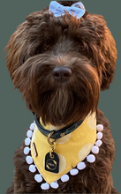 Load image into Gallery viewer, Genuine Leather Dog Collar: Saint -Yves Collar