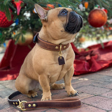 Load image into Gallery viewer, Barneys Grip For Dog Leads