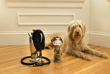 Load image into Gallery viewer, Genuine Leather Dog Collar: Cavalli Collar