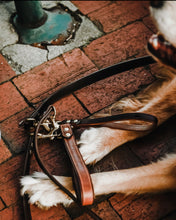 Load image into Gallery viewer, Barneys Grip For Dog Leads